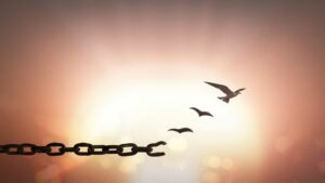 Sampai berapa kali aku harus mengampuni saudaraku? -Renungan APP 9 Maret 2021