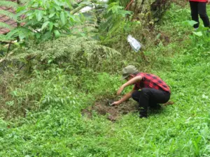 Momen aksi Natal anak-anak siswa dari SD Kanisius Sumberrejo 2 dan TK Santo Yusuf Mertoyudan menanam pohon di Taman Doa Imatuka. (Veronika Ida/Komsos Kedu).